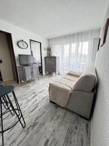 a living room with a couch and a television at T2 Familial - 250 m front de mer, plage, seaquarium - parking privé - Bienvenue en occitanie in Le Grau-du-Roi