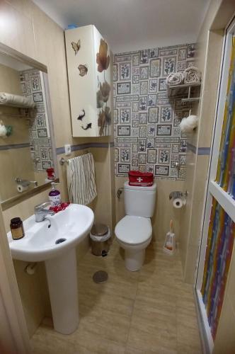 a small bathroom with a toilet and a sink at Casa Centro Paraíso Interior Catedral Jaén in Jaén
