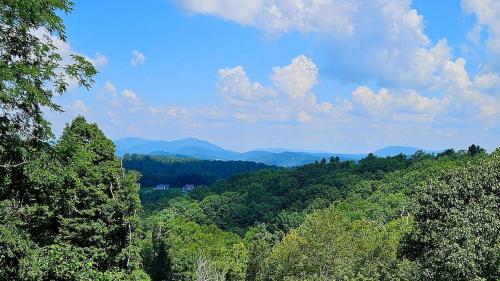 Příroda nedaleko prázdninového domu
