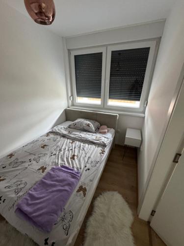 ブルチコにあるApartment Campusの窓2つが備わるドミトリールームの小さなベッド1台分です。