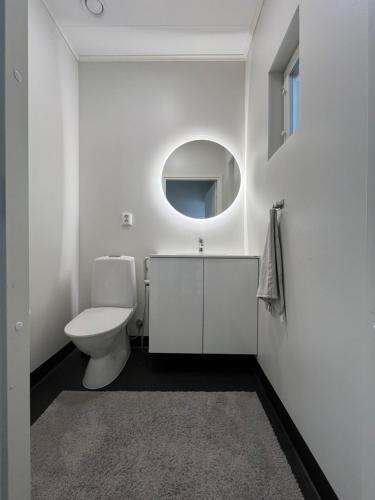 a white bathroom with a toilet and a mirror at Villa Valkeinen in Yli-Lesti