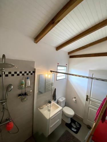 a bathroom with a white toilet and a sink at Le petit Oasis in Le Carbet