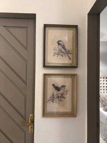 two framed pictures of birds on a wall next to a door at Pousada Estrela do Norte in Pipa