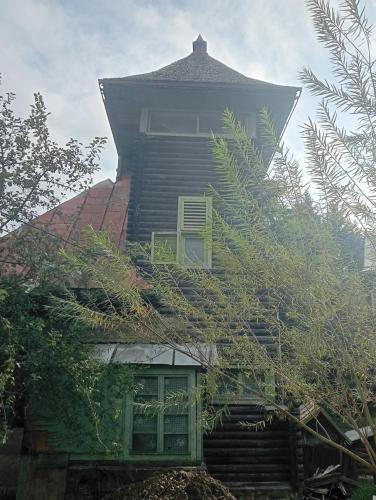 a house with a roof with plants on it at Școala Zamolxiană in Predeal
