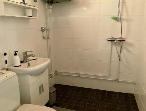 ein Badezimmer mit Dusche, Waschbecken und Toilette in der Unterkunft Studio Sulkava - Cozy studio with sauna and yard in Sulkava