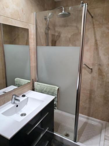 バラカルドにあるSagastiの洗面台とシャワー付きのバスルーム