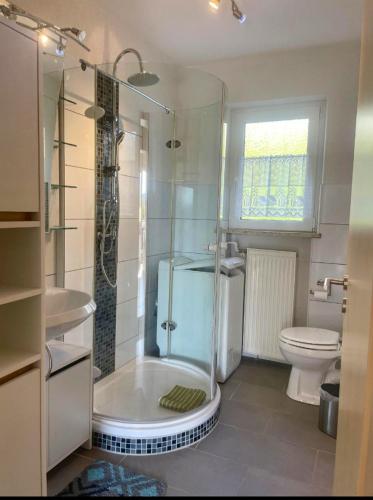 a bathroom with a shower and a toilet at Ferienwohnungen Ferienhaus Nähe Winterberg Upland in Bromskirchen