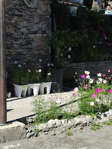 a group of flower pots sitting next to a building at Elos Guesthouse in Iprari