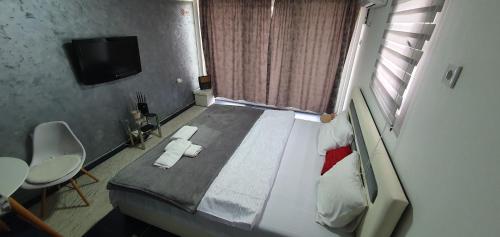 a bedroom with a large bed and a television at Cozzy apartment near the Aiport Podgorica in Mitrovići