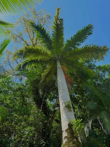 Un paisaje natural cerca de la posada