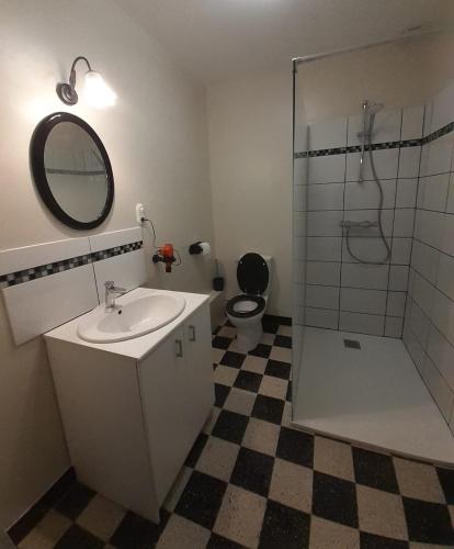 a bathroom with a sink and a shower with a mirror at Location de Chambres Bienvenue chez Mémé in Treigny