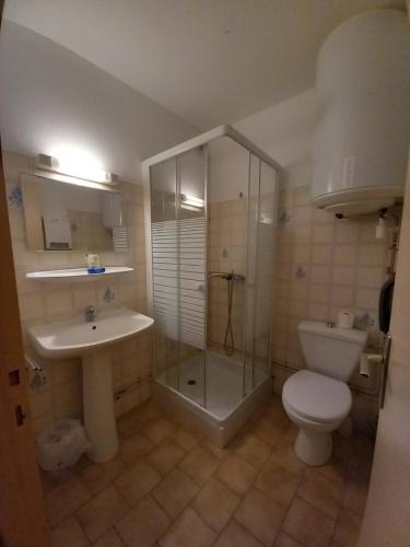 ein Badezimmer mit Dusche, Toilette und Waschbecken in der Unterkunft Auberge les rastels in Savournon