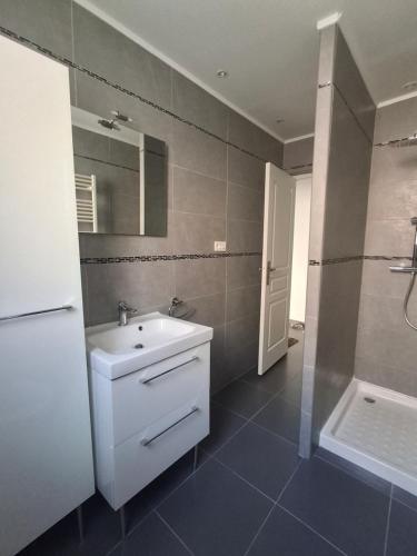 a bathroom with a sink and a mirror and a shower at Joli T1 bis - Centre ville in Bastia