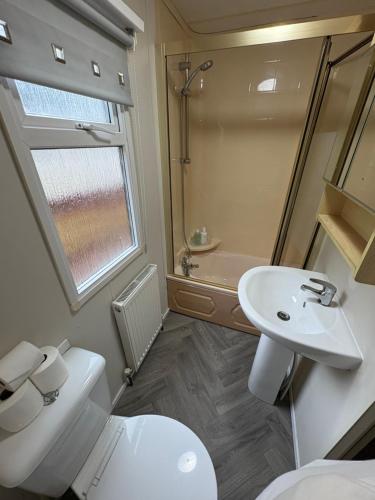 a bathroom with a white toilet and a sink at Cosy Caravan by the sea in Cairnryan