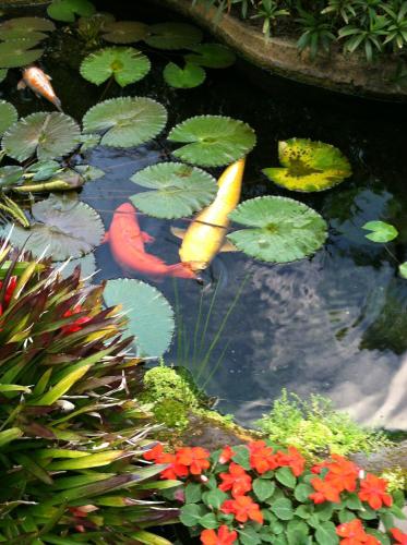 Taman di luar The Secret Garden Room