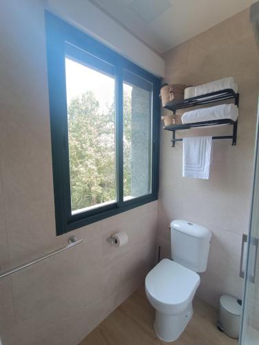 a bathroom with a toilet and a window at Apartamentos Gabín in Montederramo