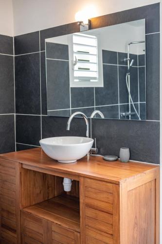a bathroom with a sink and a mirror at Appartement Canne Grise in Richemont
