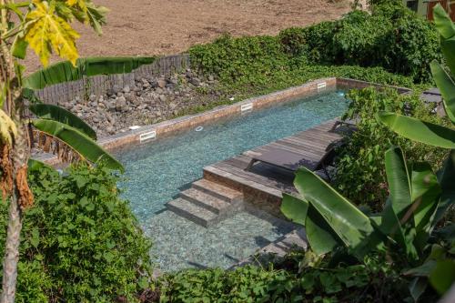 a swimming pool with a wooden bridge and some plants at Appartement Canne Grise in Richemont