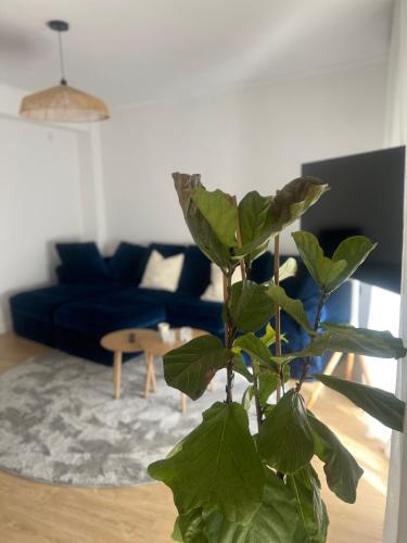 Playa del Cura, Urban Glow - Modern,Comfortable and Stylish Retreat