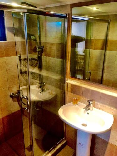 a bathroom with a sink and a glass shower at Irene Villa in Ierápetra