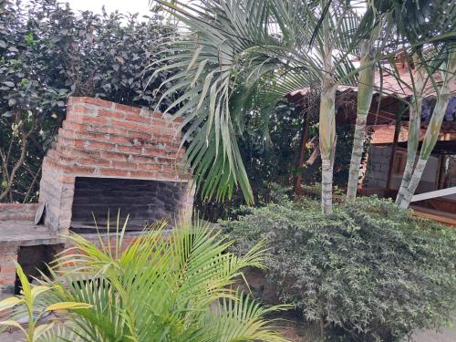 Un jardín fuera de PiscinaCascolHostal