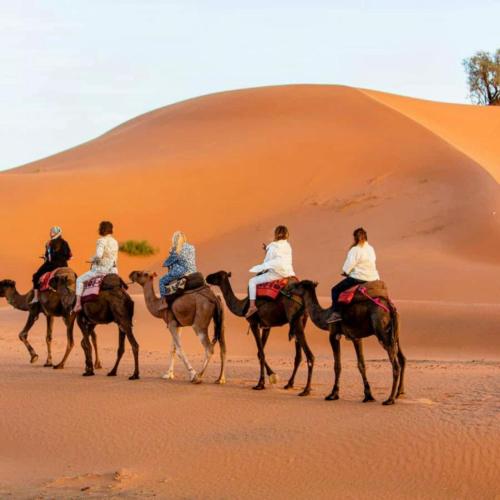 a group of people riding camels in the desert at Merzouga Desert Tents in Merzouga