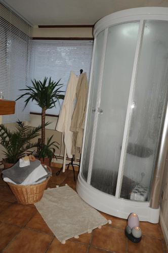 une salle de bains avec une porte en verre et une chambre avec une plante dans l'établissement La Boule de Neige, à Samoëns