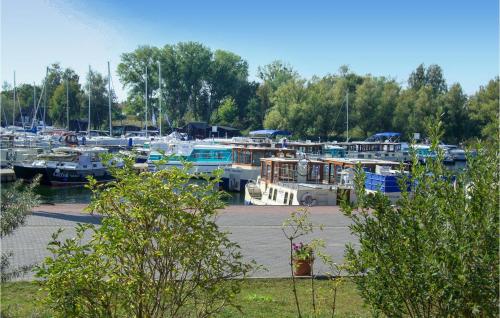 a bunch of boats parked in a marina at Amazing Home In Rechlin With Wifi in Zielow
