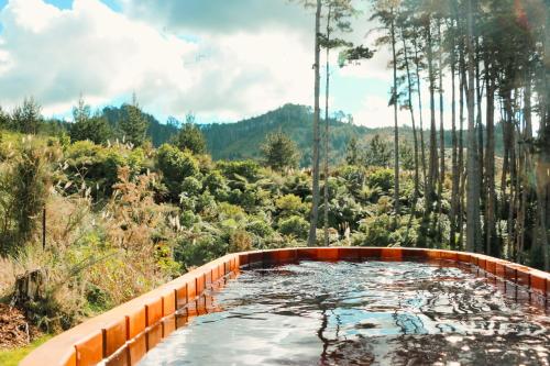 a pool of water with trees in the background at Airstream Caravan at Matakana Retreat in Matakana