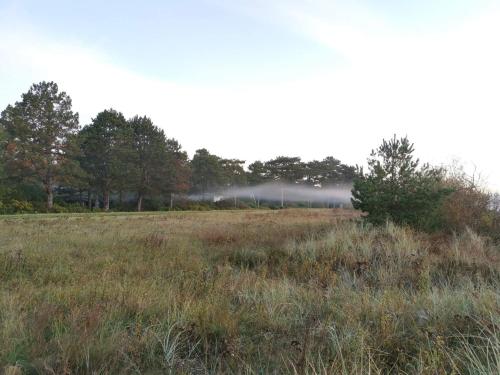 a field with fog in the distance with trees at 22 person holiday home in Idestrup in Marielyst