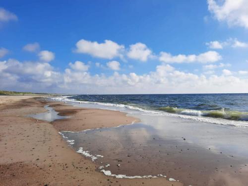 a beach with the ocean and the shoreline at 5 star holiday home in Nørre Nebel in Nørre Nebel