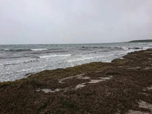 a beach with a group of people in the ocean at 8 person holiday home in Bagenkop-By Traum in Bagenkop