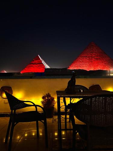 a cat sitting on a table in front of the pyramids at Horus pyramids view in Cairo