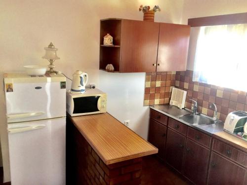 a kitchen with a white refrigerator and a sink at Irene Villa in Ierápetra