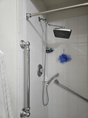 una ducha en un baño con cortina de ducha en Sunset Palm Stay, en San Petersburgo