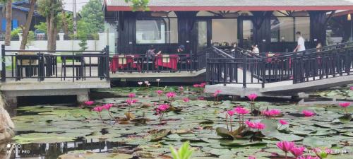 Κήπος έξω από το Mimosa Luangprabang Garden