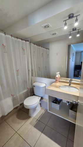 un bagno con un water, un lavandino e uno specchio di Departamento en Laguna Vista ad Algarrobo