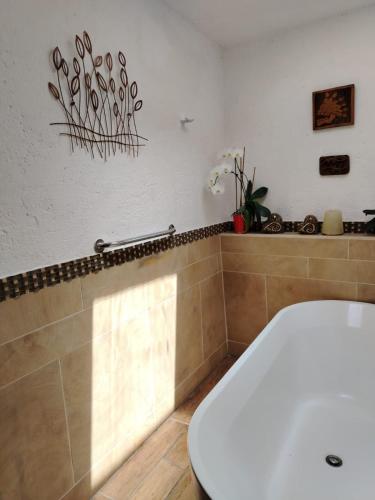 a bathroom with a white tub and a toilet at Casa d'Lobo Hotel Boutique in Malinalco