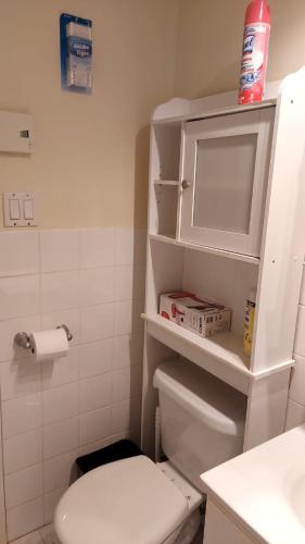 a bathroom with a white toilet and a sink at Spacious and comfortable accommodation in Longueuil