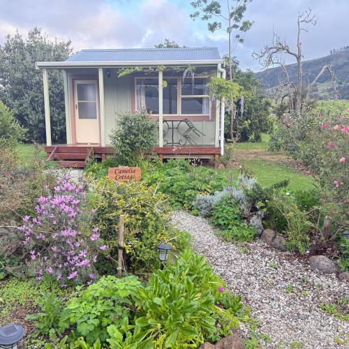 a small house in the middle of a garden at Wisteria Way in Opononi
