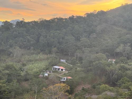 a house on a hill in the middle of a forest at Entre Nubes in Nocaima
