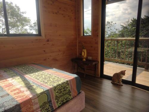 Fotografie z fotogalerie ubytování Cabaña La Villa Sanadora v destinaci Medellín