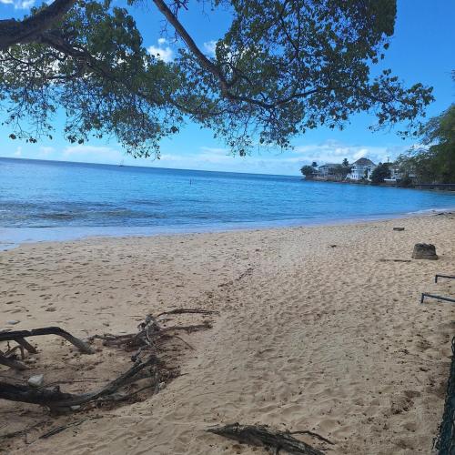 a sandy beach with a tree and the ocean at BattsRock Beach Condos 205 in Saint Michael