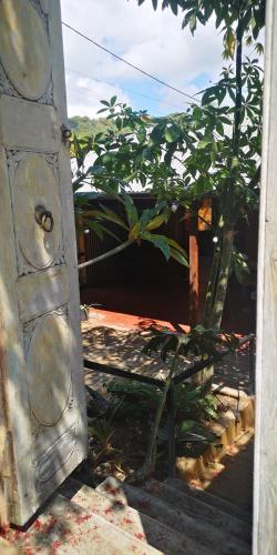 an open door to a garden with a tree at Maison 6 personnes au pieds des montagnes à l'Entre-deux in LʼEntre-Deux