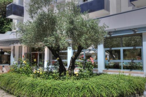 Zahrada ubytování Hotel Franz