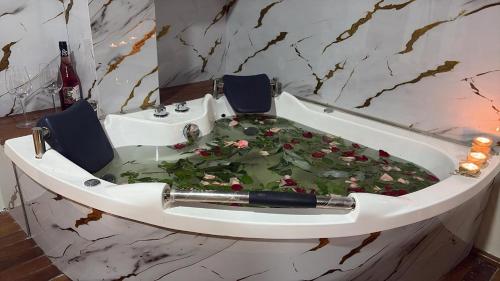 プカルパにあるAmazon Garden Suites - Recojo del aeropuerto incluidoのギャラリーの写真