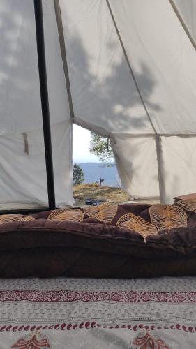 Foto dalla galleria di Zelten Bir Luxury Forest Jungle Camps a Bīr
