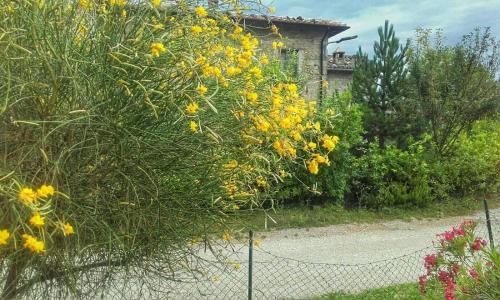Zahrada ubytování B&B Casale Giovannozzi