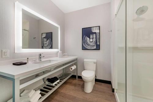 a bathroom with a sink and a toilet and a mirror at Cambria Hotel Detroit Downtown in Detroit