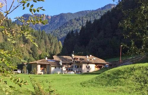 Mansarda Ai Tigli في كاستيلو-مولينا دي فيم: منزل في وسط حقل أخضر